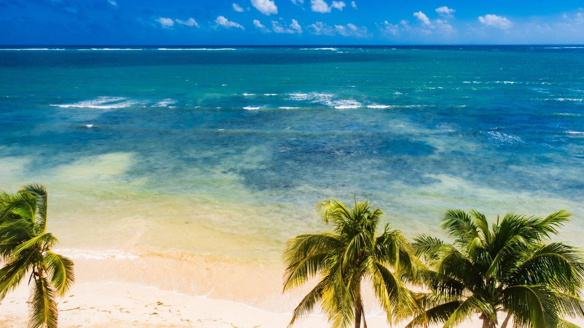 Palmar Beach Resort And Spa Riviera Maya Puerto Morelos Dış mekan fotoğraf